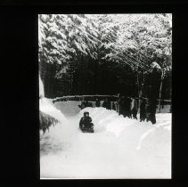Children on sled with line of people