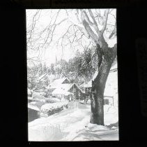 Tree in front of snow-covered house