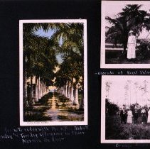 Honeymoon Album, Boston to Key West, 1923