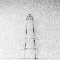 Chinatown, New York and the Cuchillo da Zanga : Project for a Chinese Templ