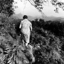 Towrds Beherleguy from "World Views" exhibition