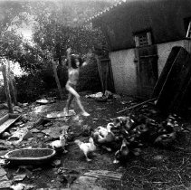 Katils Ducks from "World Views" exhibition