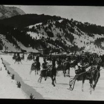 Horses and People in The Snow