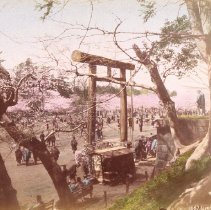 667. Uyeno Park Tokyo