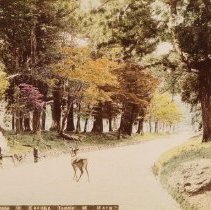 1377. Entrance to Kasuga Temple at Nara