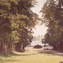 699. Uyeno Park Tokio