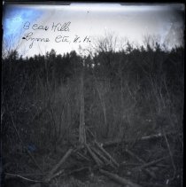 Negative image of a field. Bear Hill.
