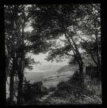Image of trees on the coast of a lake, beach, etc.
