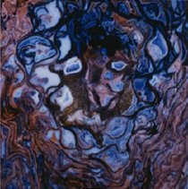 Osmundacaulis (x40 Jurassic Miles, Queenslnd, Australia)