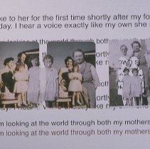 Some (M)other Stories: A Parent(hetic)al Tale IV