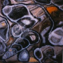 Unidentified gastropods (x20 Age unknown Germany)