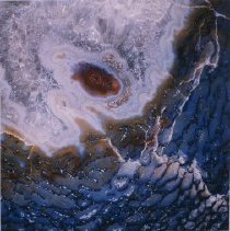 Dinosaur Bone (x60 Jurassic Morrison Formation Colorado, U.S.A.)