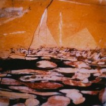 Confier infested with marine mullusks (x20 Jurassic Miles River, NSW, Austr