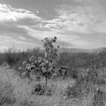 Arizona Hwy 80 near mile marker 329