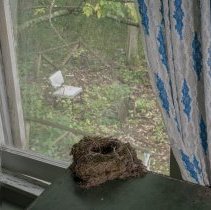 Plate #8 Pavilion Avenue