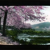 Sankeien Garden Road