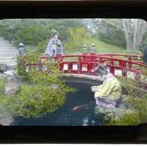 Fujiya garden feeding carp