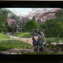 Two girls near cherry blossoms