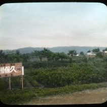 Untitled (Sign next to road)
