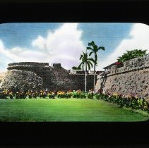 Walls and two palm trees