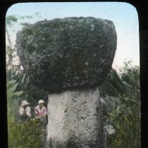 Looks like a mushroom