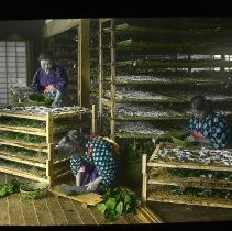 Women working with silk worms