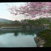 Covered bridge with Cherry blossoms