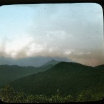 Hills with foreground plants