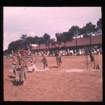 Cultural demonstration performance