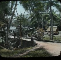 bridge road in village