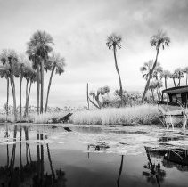 The Opossum Trader, St. Johns County, Florida
