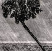 26.142350, - 81.693869