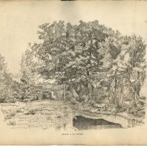 2011.010.006.8 Verso