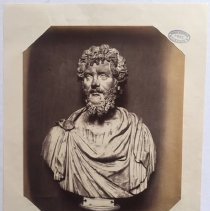 Mansell (severus) - Front