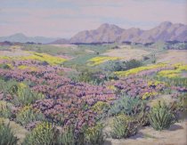 Sammons, Carl, "Desert Flowers," n.d.