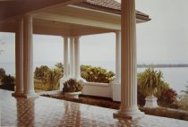 Eggleston, William, "Jamaica Botanicals" series 20/33