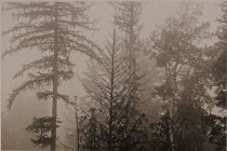 Brown, Eleanor, Unknown Title, No Date