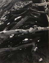 Christie-Siefert, Cindi, Dillion Beach, No Date