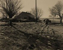 Peck, Mary, "Taylor Springs, New Mexico," 1982