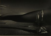 Krieger, Eddie, "White Sands," No Date