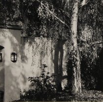 Bethel, David, Unknown Title, No Date