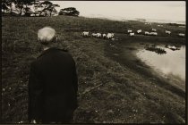 Darling, Dennis C., Unknown Title, No Date