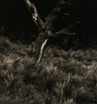 Jordan, Bryce, Untitled, No Date