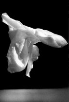 Pritzker, Burton, "Kabuki Dancer," from Watermark series, 1989/2001