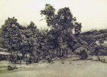 Weary, Anne, "Indian Meadow," 1998