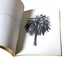 Ruscha, Ed, "A Few Palm Trees," 1971 - inside
