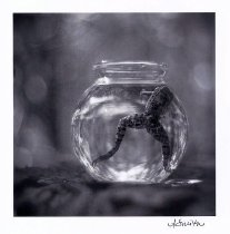 Smith, Amanda K., "Annabelle's Frog," 2005 - front