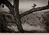 Cockerham, Terry, "On Edge," 11/23/2008