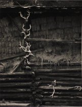 Lown, Lynn, Unknown Title, No Date