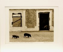 Langmore, Bank, "On the Border - Big Bend Country, Texas / Mexico," 1973-75